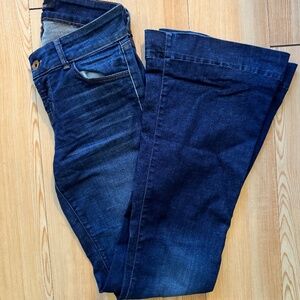 J Brand Wide Leg Jeans size 26, low rise